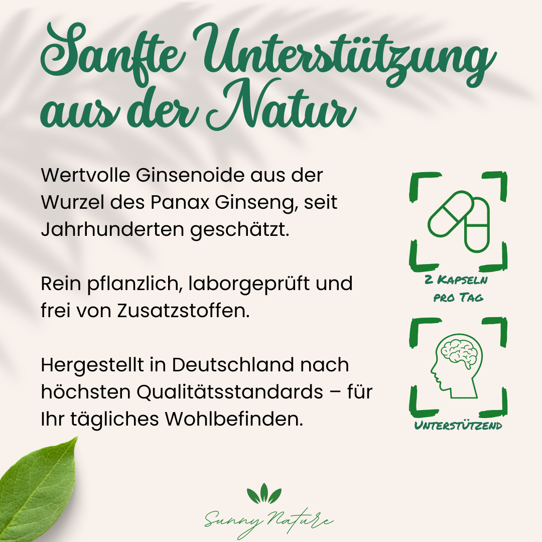 Koreanischer Roter Ginseng Kapseln (Panax Ginseng C.A. Meyer)