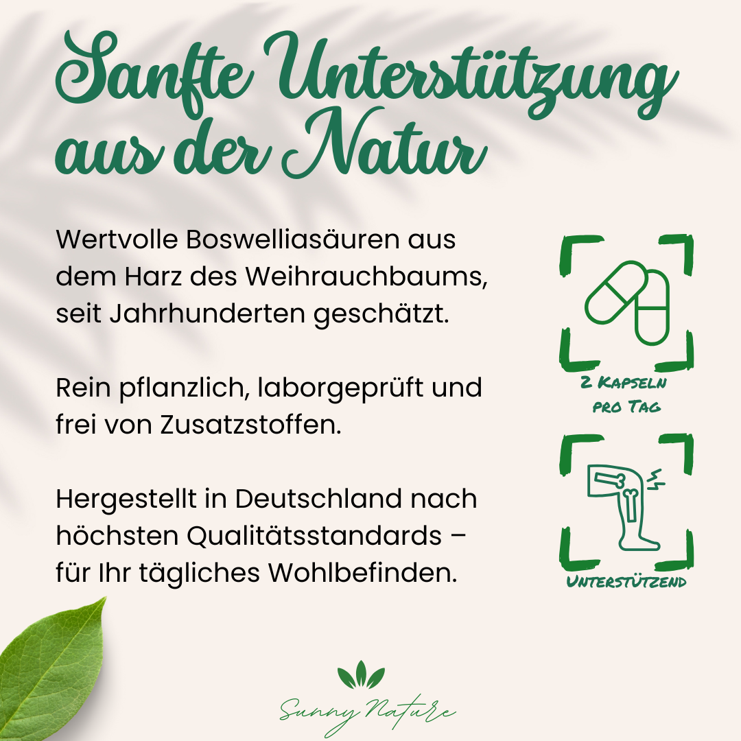 Weihrauch Kapseln (Boswellia serrata)